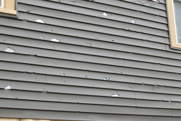 Best Brick Veneer Siding  in Hamburg, NJ