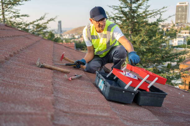 Best Siding Repair  in Hamburg, NJ